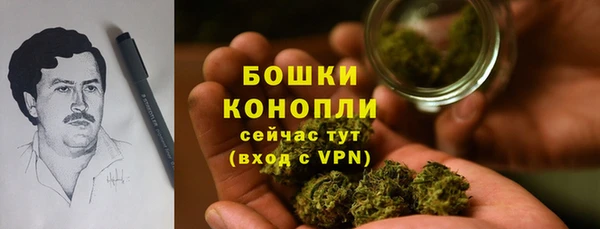 ПСИЛОЦИБИНОВЫЕ ГРИБЫ Арсеньев