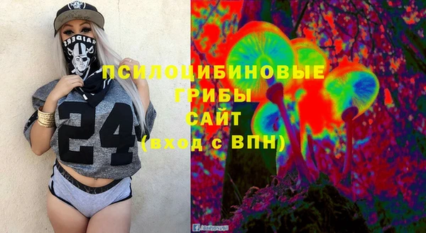 крисы Балахна
