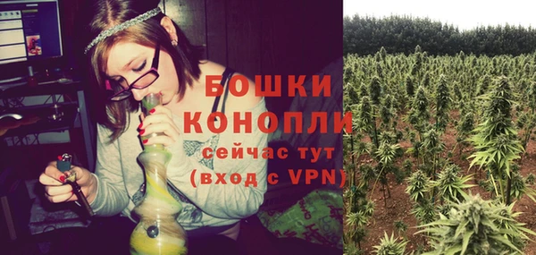 ПСИЛОЦИБИНОВЫЕ ГРИБЫ Арсеньев