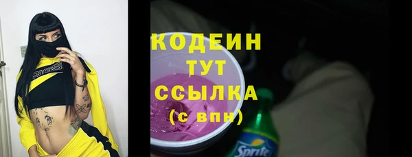 ПСИЛОЦИБИНОВЫЕ ГРИБЫ Арсеньев