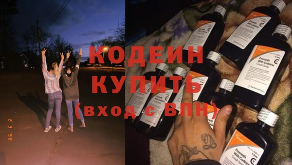 ПСИЛОЦИБИНОВЫЕ ГРИБЫ Арсеньев