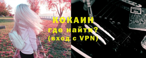 ПСИЛОЦИБИНОВЫЕ ГРИБЫ Арсеньев