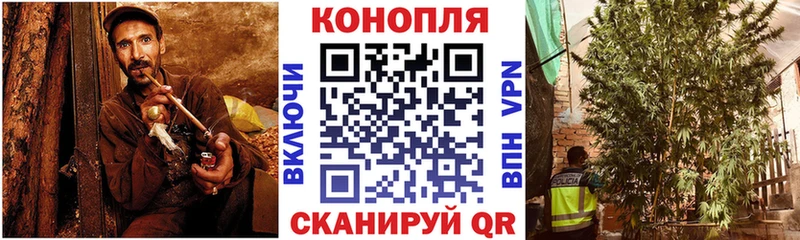 Конопля гибрид  Сибай 